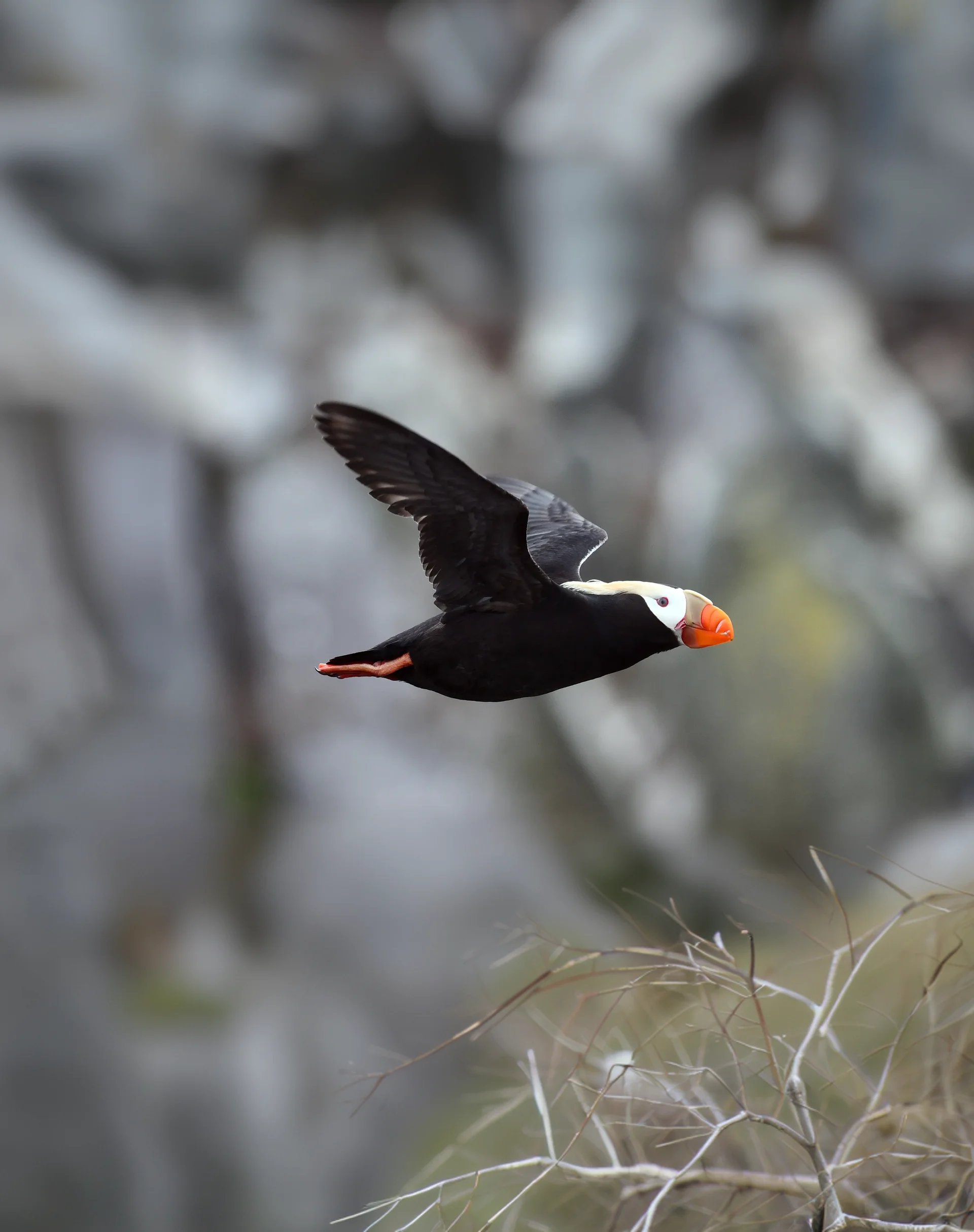 Острова и вулканы Тихоокеанского Огненного Кольца